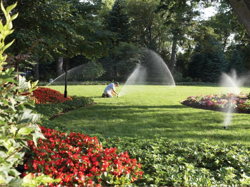Manejo da Irrigação em Gramados e Jardins 